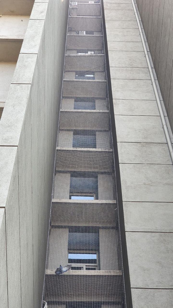 Gallery Image 7